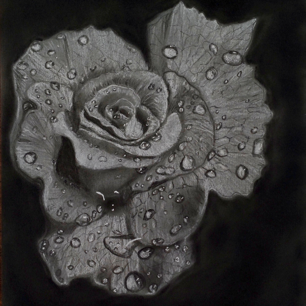 Handmade Charcoal Rose Art